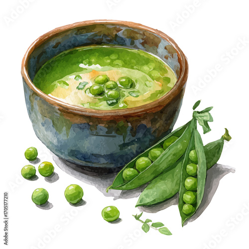 watercolor of Pea Soup, vector, isolated on a white background.