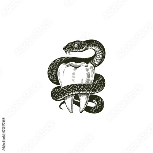 engraving style illustration of a snake coiled around a tooth. Vintage tattoo design with detailed reptile scales, symbol of danger, poison, and dentistry