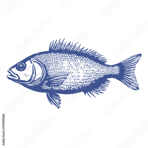 seafood fish