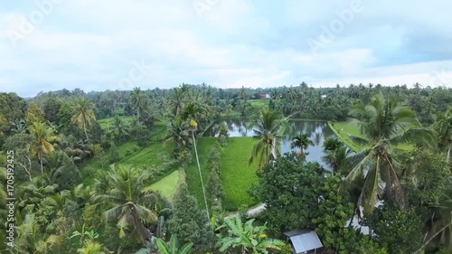 Drone Footage Flying Over Beautiful Rice Terraces at Sunset