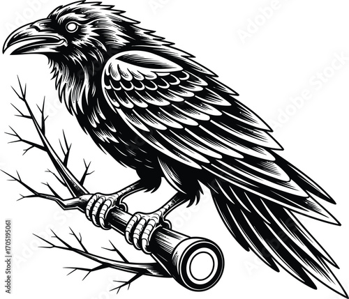 Black raven perched on bare tree branch bird crow