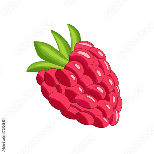 A red raspberry with a green leaf on top. The raspberry is shown in a cartoon style. The image is of a close up of a raspberry.