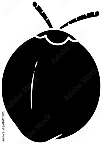 fruit illustration coconut silhouette fresh logo food icon tropical outline healthy exotic half palm coco milk leaf set natural shape and vector graphic background