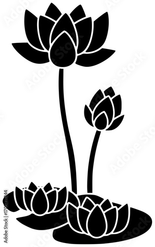 flower illustration lotus silhouette floral logo beauty icon blossom outline set bloom beautiful nature plant natural water lily flora shape kids vector graphic background