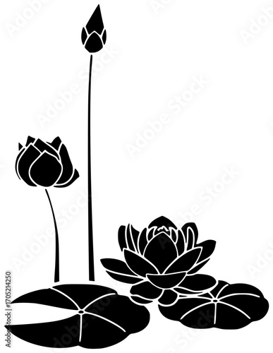 flower illustration lotus silhouette floral logo beauty icon blossom outline set bloom beautiful nature plant natural water lily flora shape kids vector graphic background