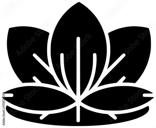 flower illustration lotus silhouette floral logo beauty icon blossom outline set bloom beautiful nature plant natural water lily flora shape kids vector graphic background