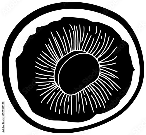 toadstool illustration forest silhouette mushroom logo fungus icon nature outline autumn fungi amanita plant organic poisonous cartoon cap fall shape and vector graphic background