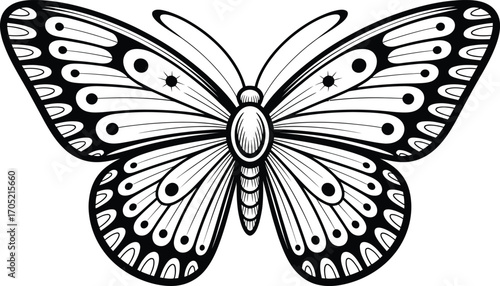 Black and white butterfly graphic with symmetrical wing patterns