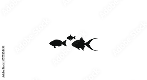 A captivating family of fish swimming together in monochrome simplicity evoking peace and harmony
