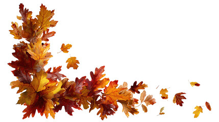 An autumn leaves corner frame with maple and oak foliage in amber, rust, and crimson forming an L-shape, isolated on transparent background.
