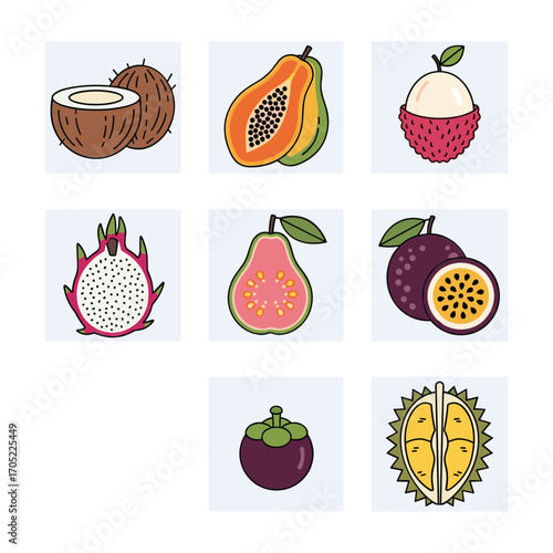 Collection of nine tropical fruit illustrations including coconut papaya lychee dragon fruit guava passion fruit mangosteen and durian