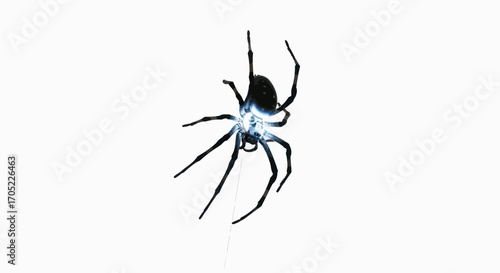 Foto Eerie arachnid: A striking black spider descending with web on a stark white bac