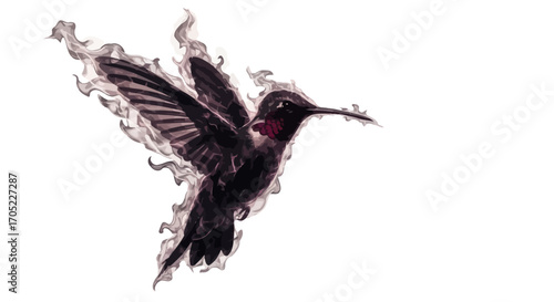 Hummingbird in flight captured with wisps of smoke elegantly framing its form against white backdrop