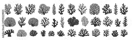 Coral silhouettes, seaweed black icon. Abstract organic corals shape