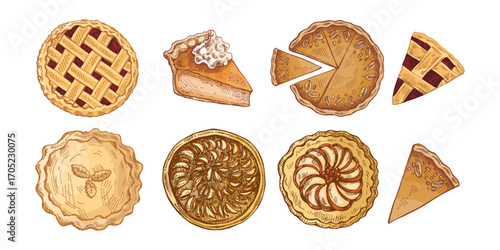 Hand drawn vintage sketch set of assorted sweet pies with lattice, cream, nuts, apples, closed crust and slices