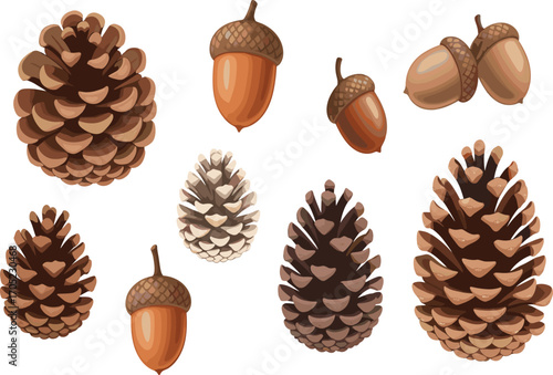 Pine cone and acorn vector, forest seed illustration, autumn nature clipart, botanical elements, seasonal design assets, woodland drawing set