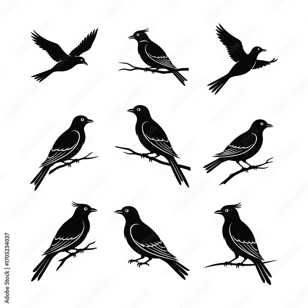 Fototapeta premium Black silhouette birds flying and perched on branches against white background vector