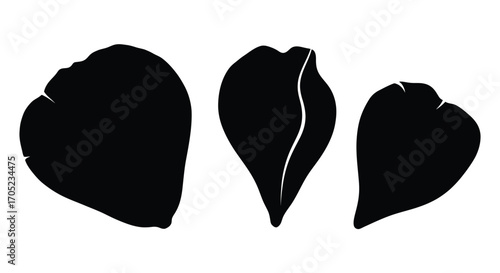 Three distinct black silhouettes of organic shapes resembling petals or leaves silhouette