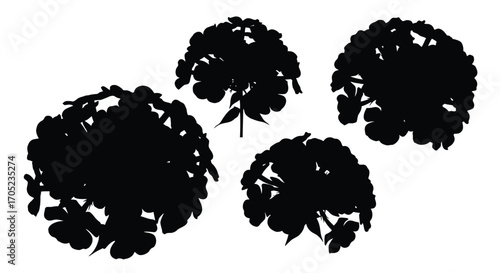 Four distinctive bush silhouettes against a white background