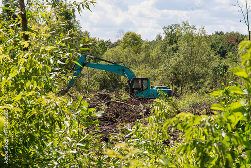 Excavator clearing land surrounded by lush greenery on a sunny day in a forested area
