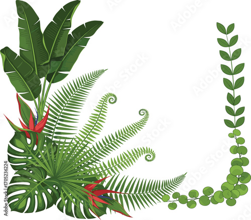 Tropical plant corner design, vibrant leaf vector set, fern foliage, exotic flowers, jungle greenery pack, botanical illustration elements