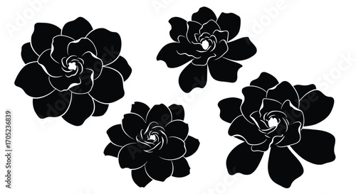 Four black silhouette succulent plants on a white background