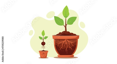 Plant Growth Stages in Pots Illustration.