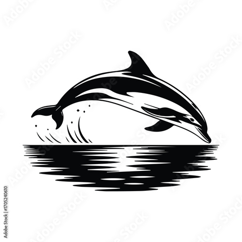Elegant Dolphin Leaping Gracefully from the Ocean Waters in a Dramatic Black and White Design