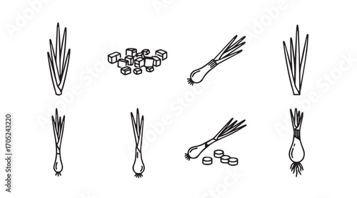 Collection of hand drawn silhouette illustrations of lemongrass stalks and cubes