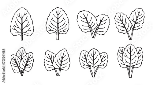 Collection of hand drawn spinach leaves in a distinctive silhouette style