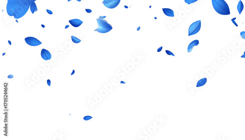 Fototapeta Naklejka Na Ścianę i Meble -  Blue rose petals on a white background
