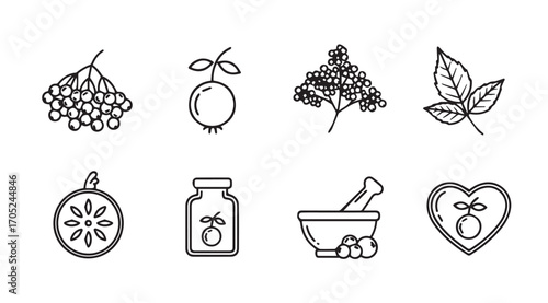 Collection of botanical and herbal remedy icons in a simple silhouette style