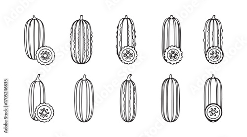 Collection of hand drawn cucumber illustrations in a distinctive silhouette style