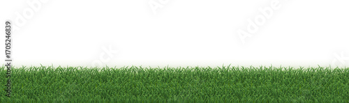 Grass Frame Border Isolated White
