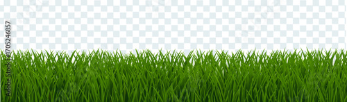 Green Grass Border Isolated Transparent Background