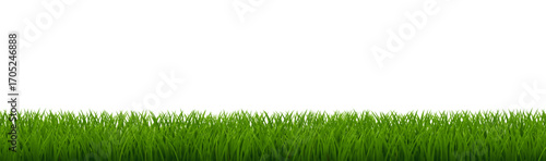 Green Grass Border Isolated White