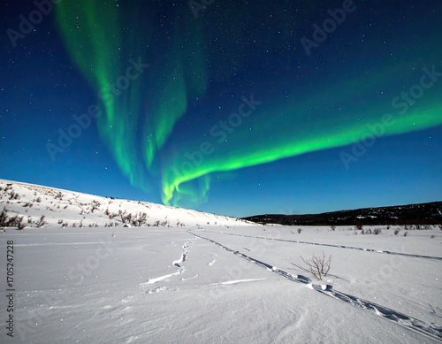 Aurora Borealis over Snowy Landscape at Night