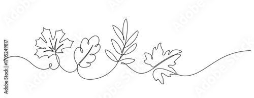 continuous line drawing of autumn leaf handdrawn decorative minimalism