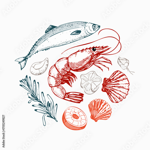 Seafood sketch. Vintage fish food drawing for restaurant menu or kitchen poster or placard. Shrimp, seashell, squid in doodle sketch style.