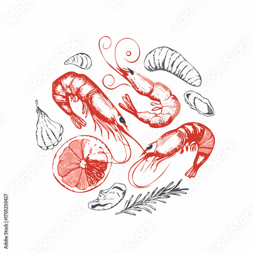 Seafood sketch. Vintage fish food drawing for restaurant menu or kitchen poster or placard. Shrimp, seashell, squid in doodle sketch style.
