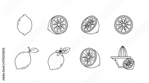 Collection of stylized lemon illustrations showing whole fruit and slices silhouette