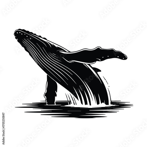 Magnificent humpback whale breaching ocean surface artistic monochrome vector illustration design