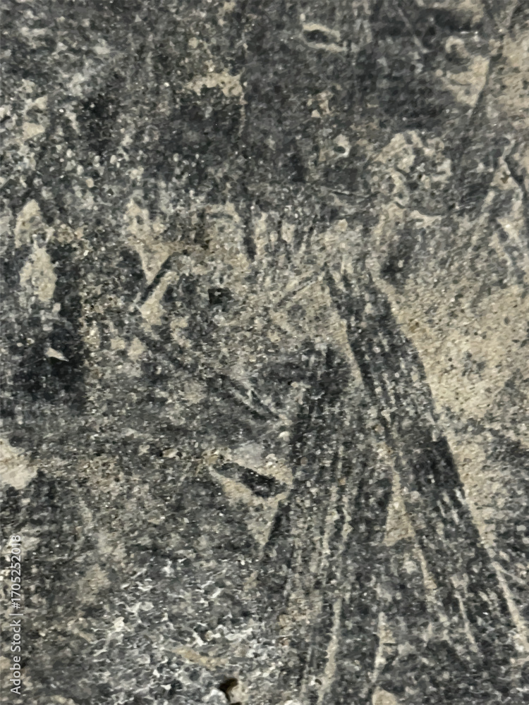 Fototapeta premium Grunge abstract scratched texture background