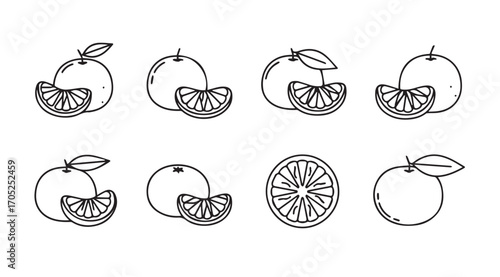 Collection of hand drawn orange fruit and slices in silhouette style
