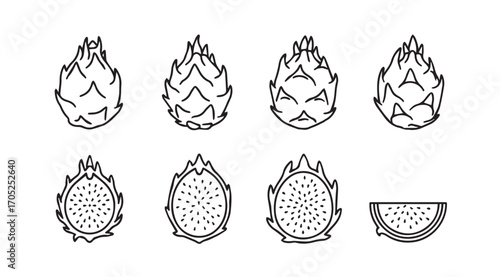 Collection of dragon fruit illustrations showing whole and halved fruit silhouette