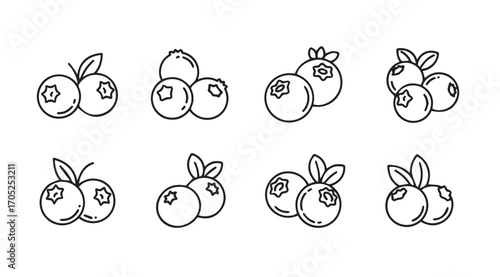 Collection of hand drawn blueberry silhouettes with leaves and stems