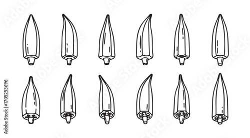 Collection of twelve detailed okra pods in a stylized silhouette arrangement