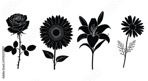 Slika na platnu Collection of four distinct flower silhouettes on a white background