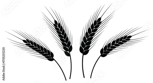 Four detailed black wheat stalks silhouette