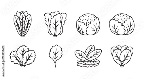 Collection of various leafy green vegetable silhouettes in a simple line art style